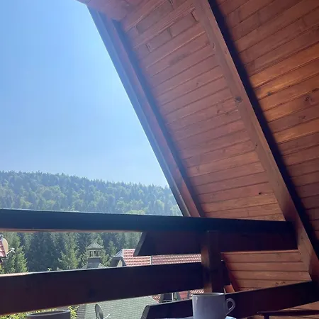 Σπίτι διακοπών Planinska Kuca Dusan *