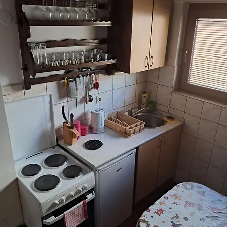 Vakantiehuis Planinska Kuca Dusan Mitrovac