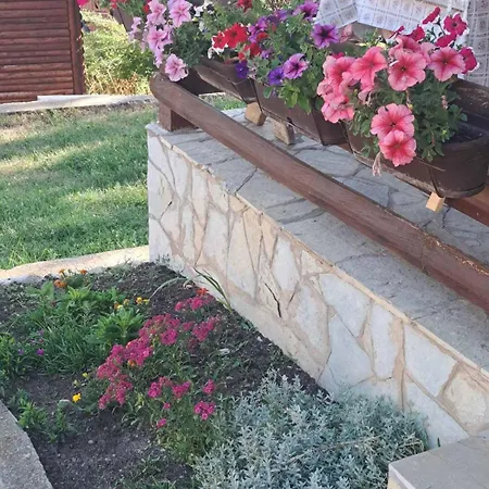 Vakantiehuis Planinska Kuca Dusan *