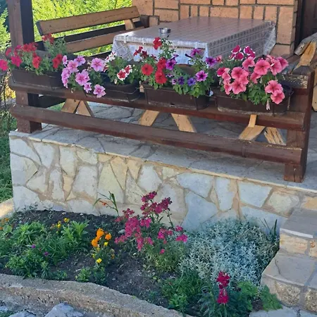 Planinska Kuca Dusan