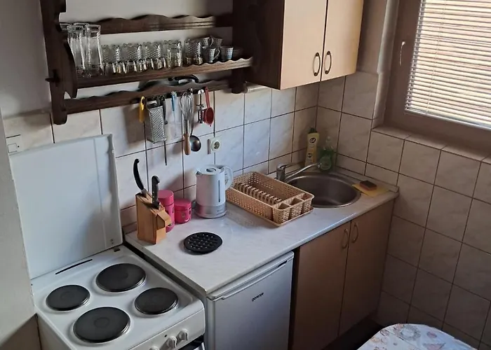 Vikendica Planinska Kuca Dusan Mitrovac