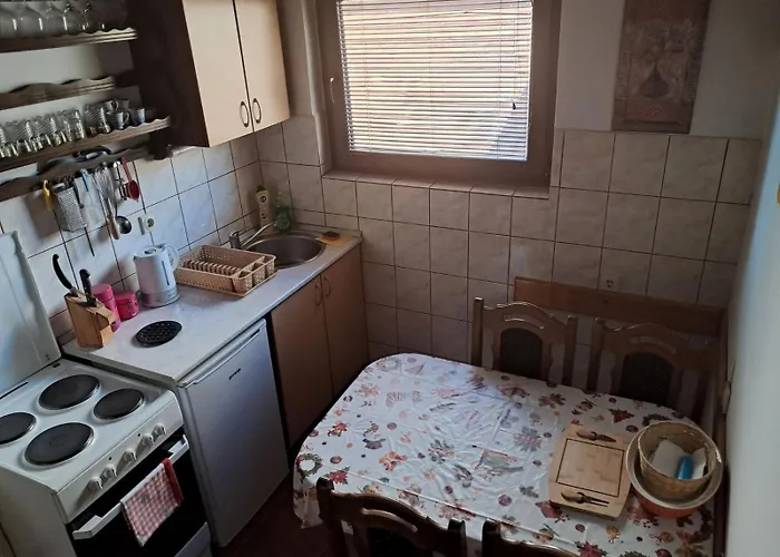 Planinska Kuca Dusan * Mitrovac