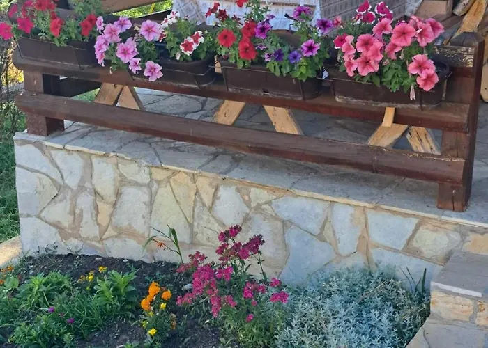 Planinska Kuca Dusan